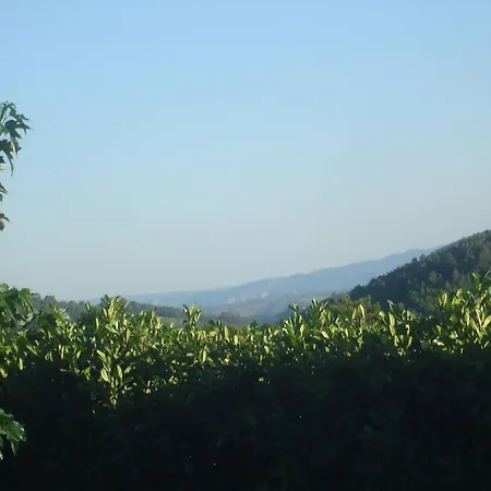 Villa Spacieuse Avec Piscine Privee A 180 M² Vue Montagne Rocher